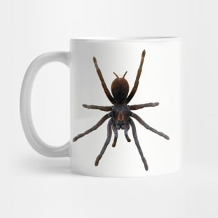 Spider Mug